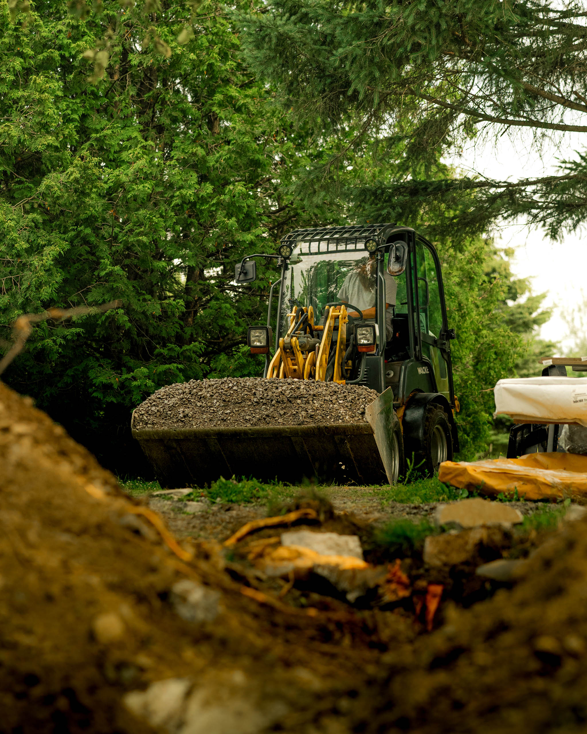 Commercial Property Maintenance by Limestone Land Care